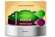 biofilms course